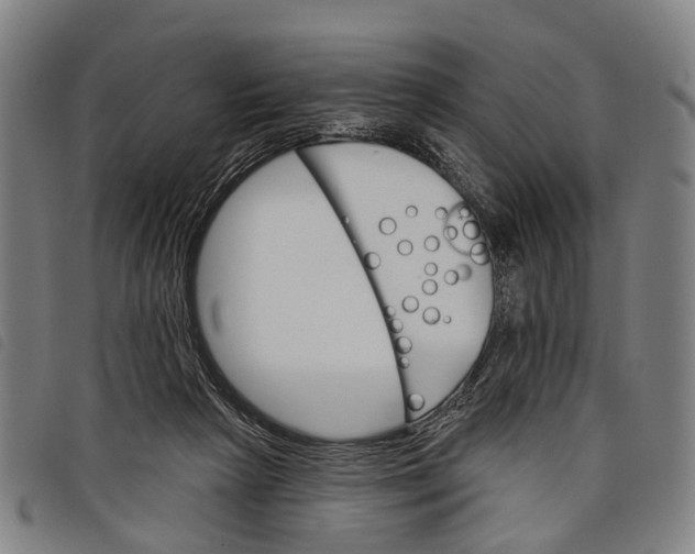 X0000097850265200804041513