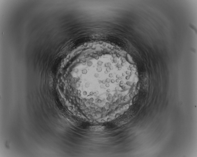 X0000097850266200804041513