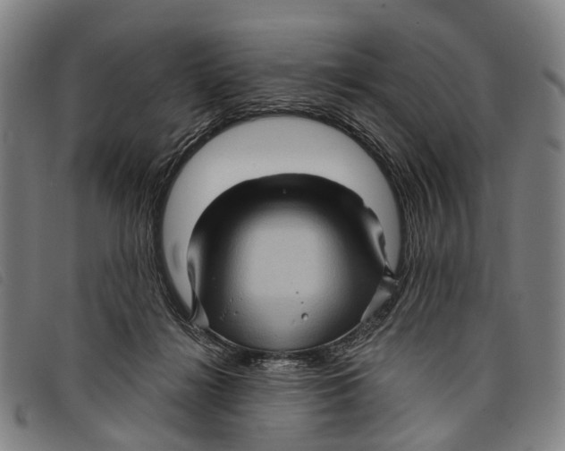 X0000097850268200804041513