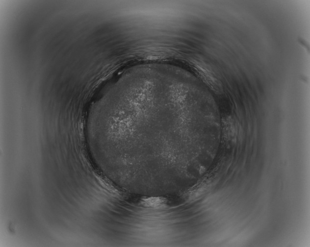 X0000097850269200804041513