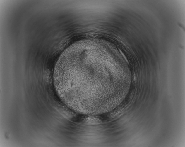 X0000097850270200804041513