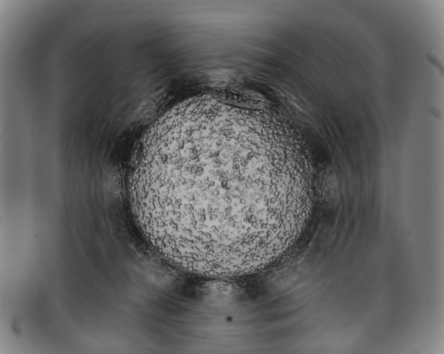 X0000097850272200804041513