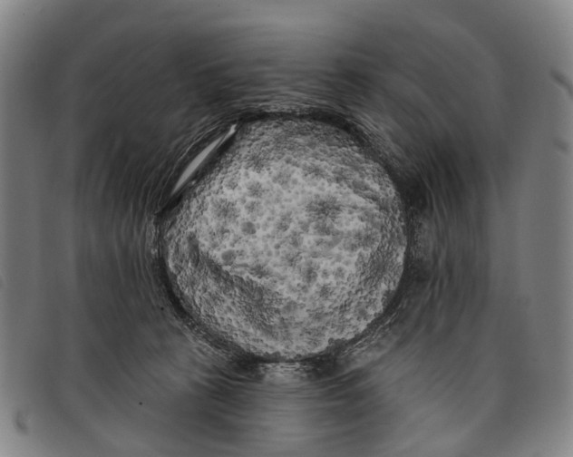 X0000097850273200804041513