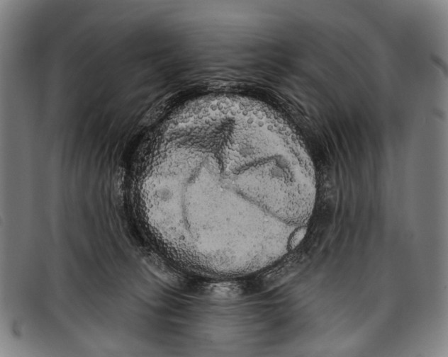 X0000097850275200804041513