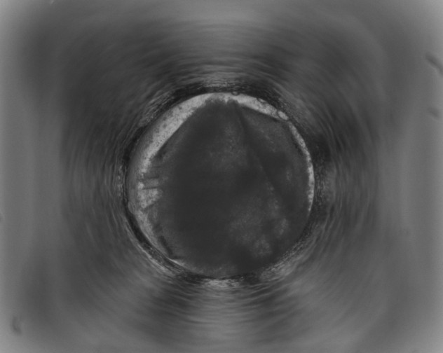 X0000097850277200804041513