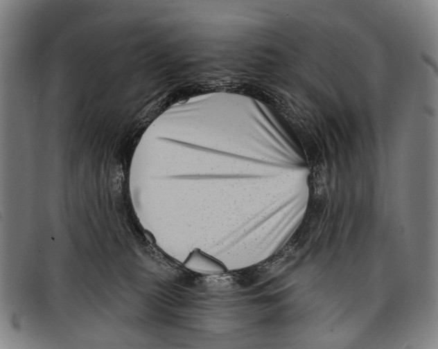 X0000097850279200804041513