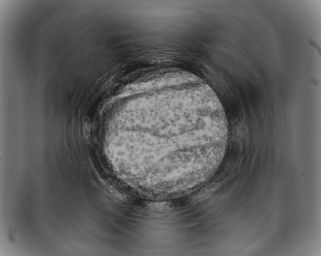 X0000097850281200804041513