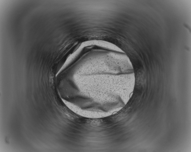 X0000097850282200804041513