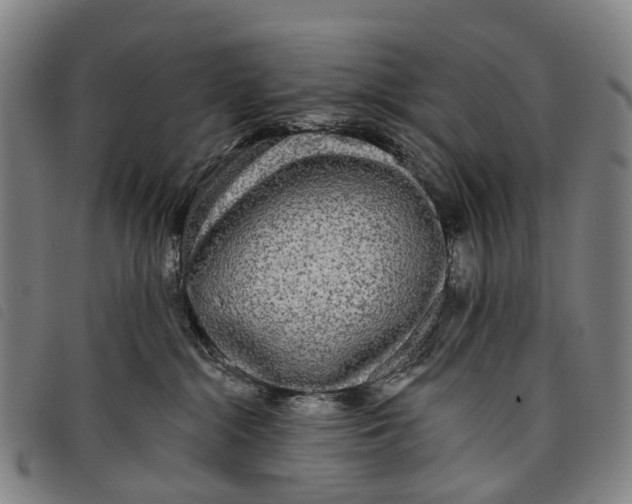 X0000097850284200804041513