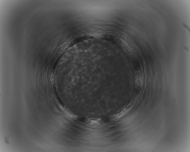 X0000097850285200804041513