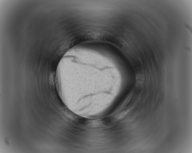 X0000097850286200804041513