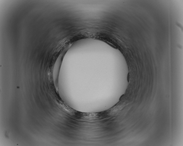 X0000097850288200804041513