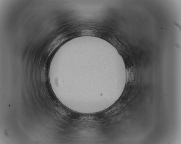 X0000097850291200804041513