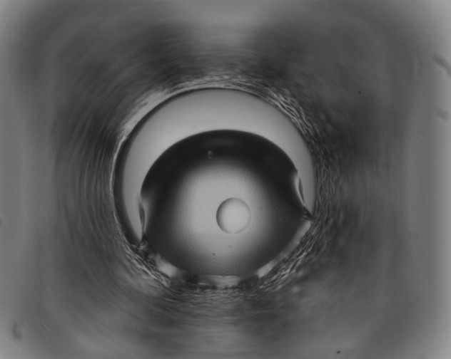 X0000097850292200804041513