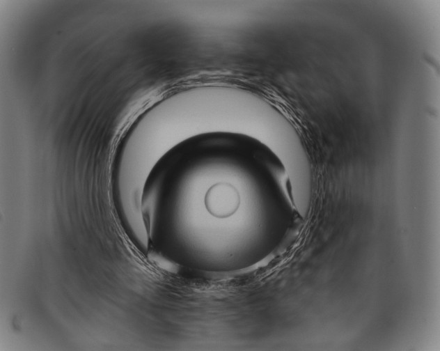 X0000097850293200804041513