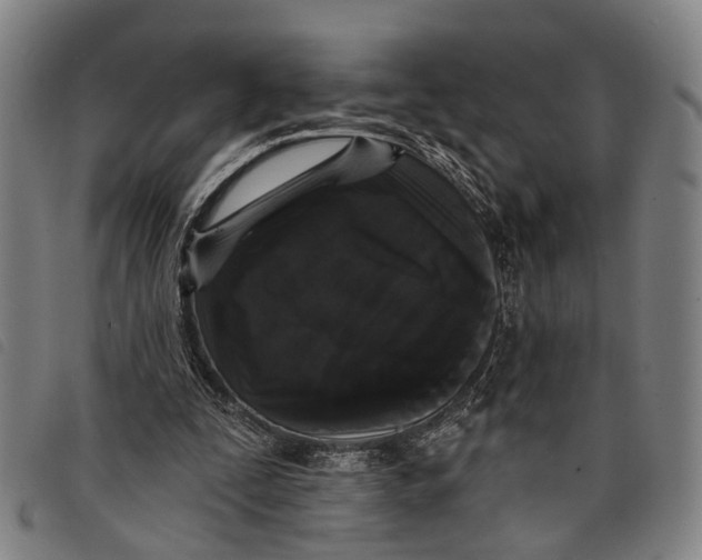 X0000097850295200804041513