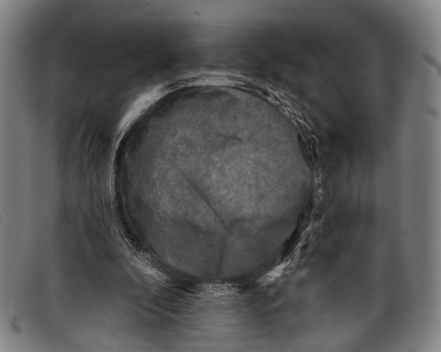 X0000097850296200804041513