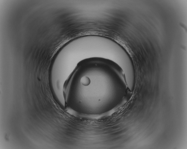 X0000097850297200804041513