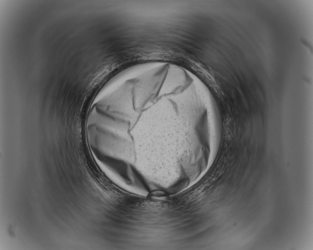 X0000097850298200804041513