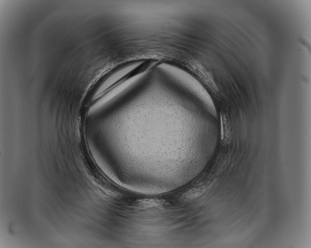 X0000097850300200804041513