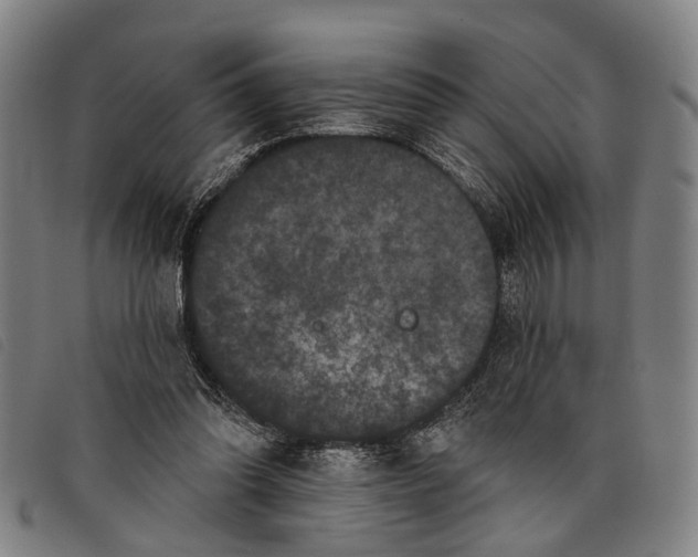 X0000097850302200804041513