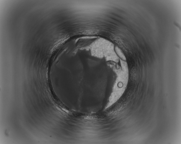 X0000097850303200804041513