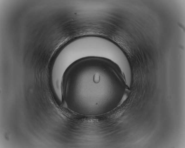 X0000097850304200804041512