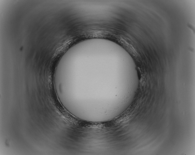 X0000097850306200804041512