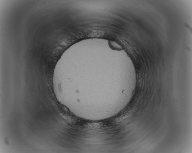 X0000097850307200804041512