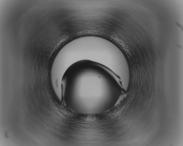 X0000097850308200804041512