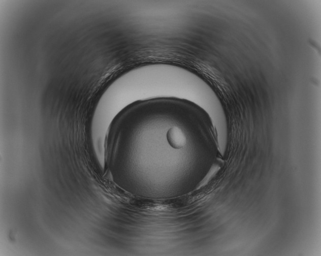 X0000097850312200804041512