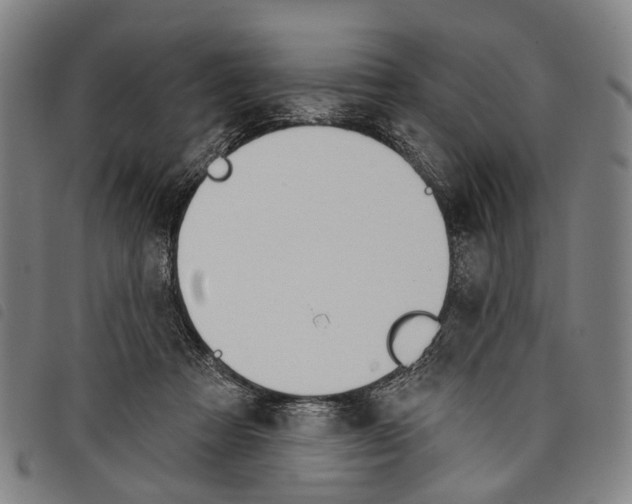 X0000097850313200804041512