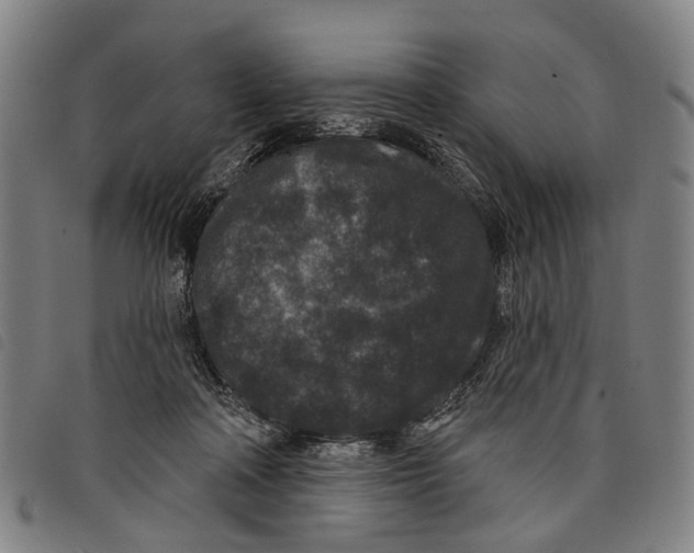 X0000097850314200804041512