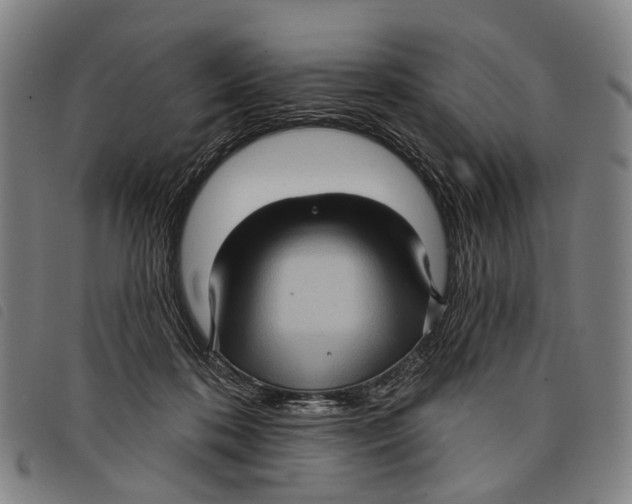 X0000097850316200804041512