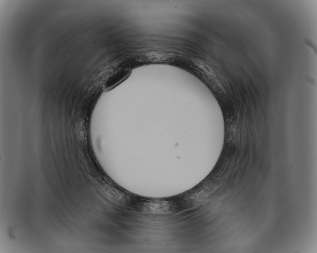 X0000097850317200804041512