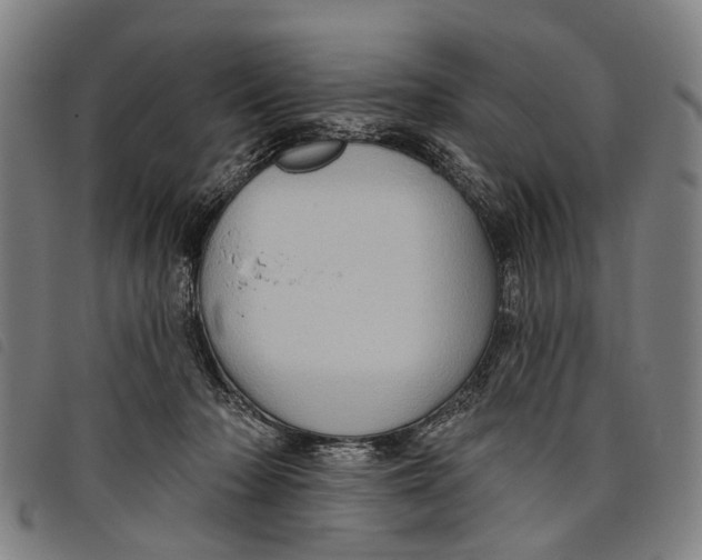 X0000097850318200804041512