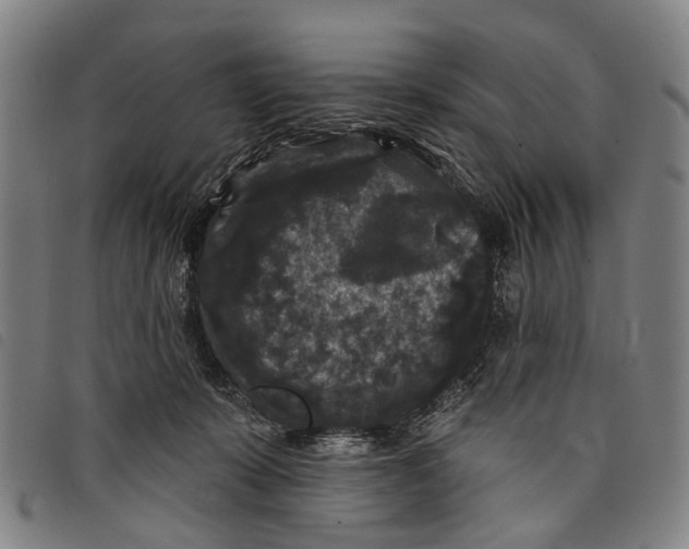 X0000097850319200804041512