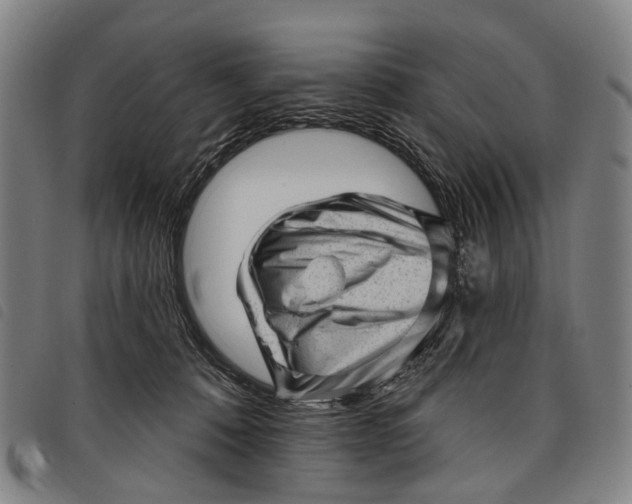 X0000097850320200804041512