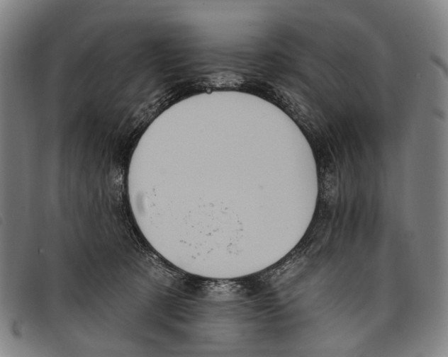 X0000097850321200804041512