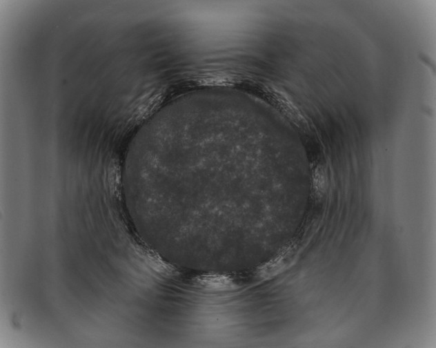 X0000097850322200804041512