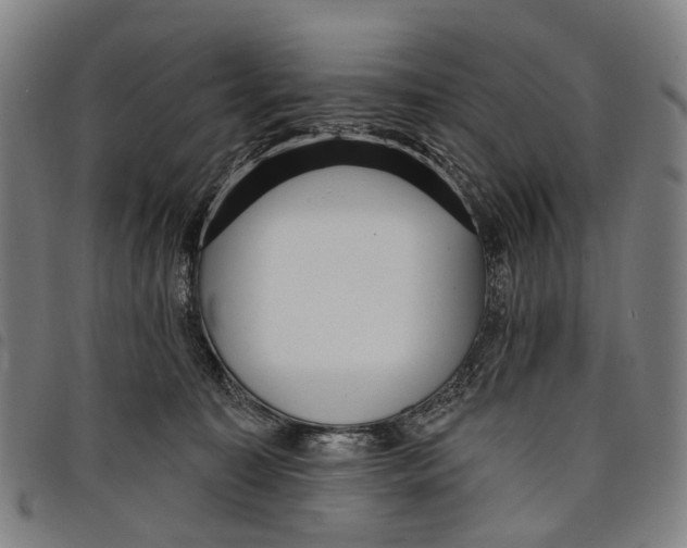 X0000097850323200804041512