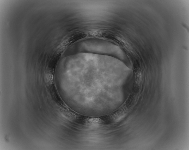 X0000097850324200804041512