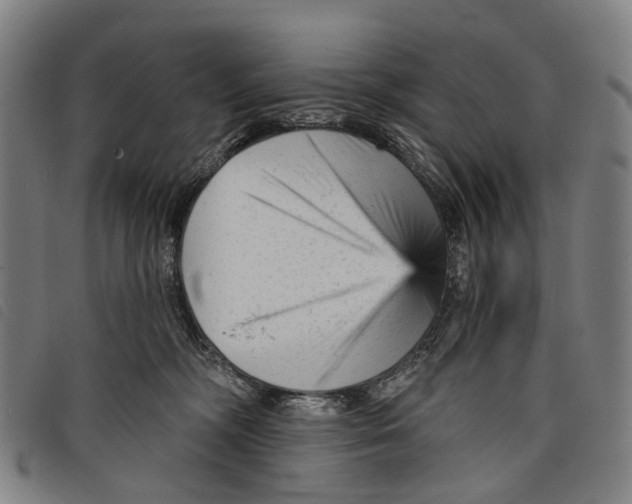 X0000097850326200804041512