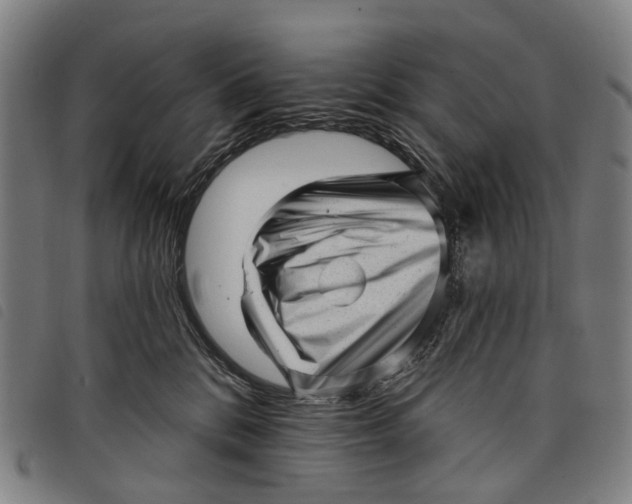 X0000097850328200804041512