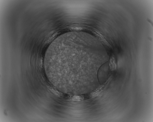 X0000097850330200804041512