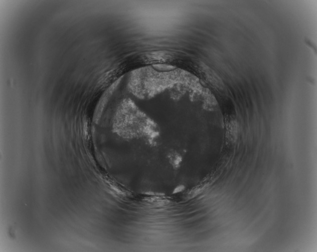 X0000097850331200804041512