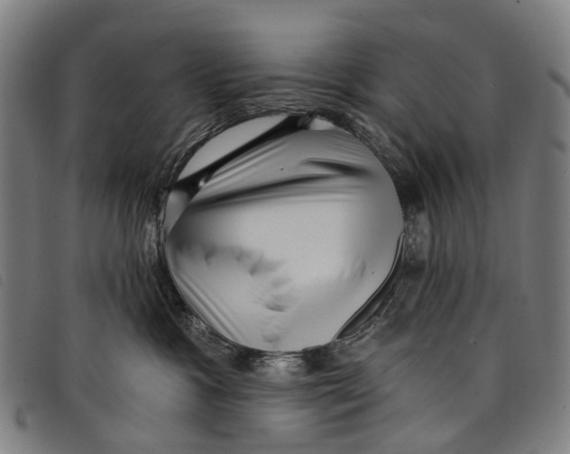 X0000097850333200804041512