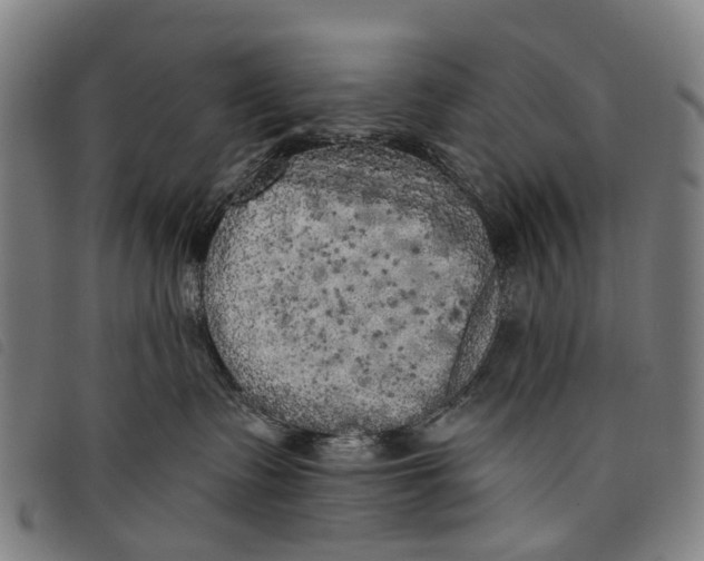 X0000097850335200804041512