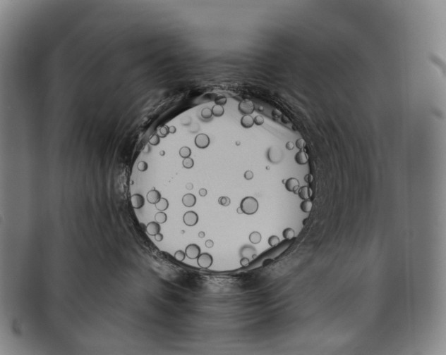 X0000097850336200804041512