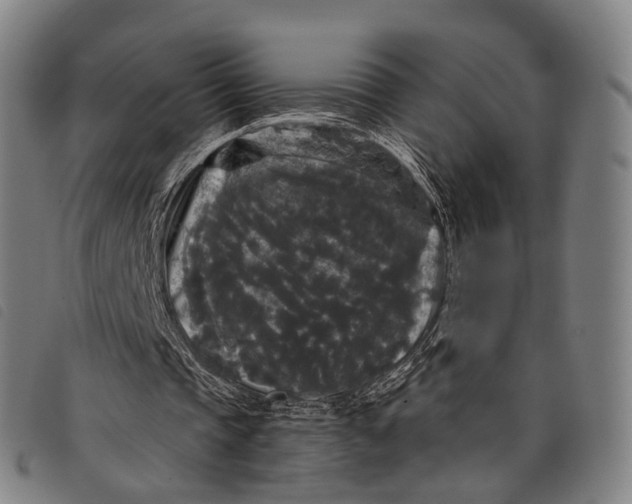 X0000097850337200804041511